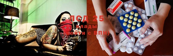 мяу мяу кристалл Гусев