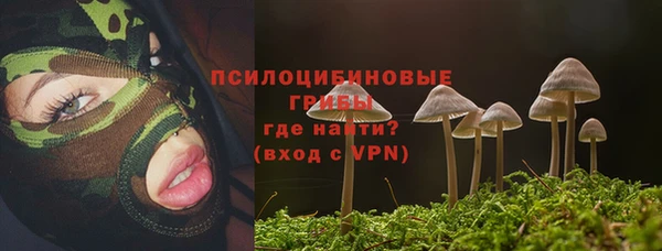 COCAINE Гусиноозёрск