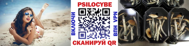 Галлюциногенные грибы мицелий  где найти   Островной 